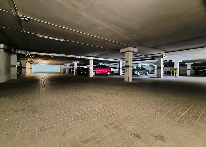 Kolory Warmii Bialy I Szary