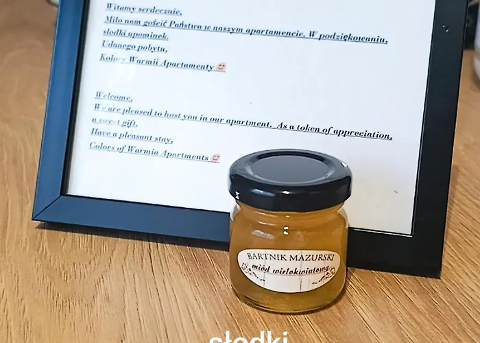 Kolory Warmii Bialy I Szary 公寓 *