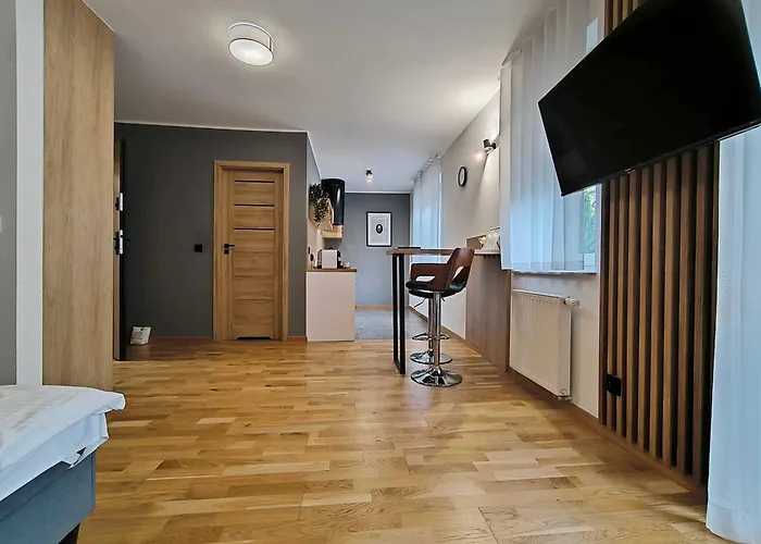 公寓 Kolory Warmii Bialy I Szary 奥尔什丁