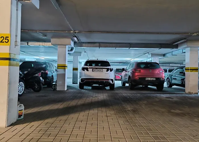 Kolory Warmii Bialy I Szary * 奥尔什丁