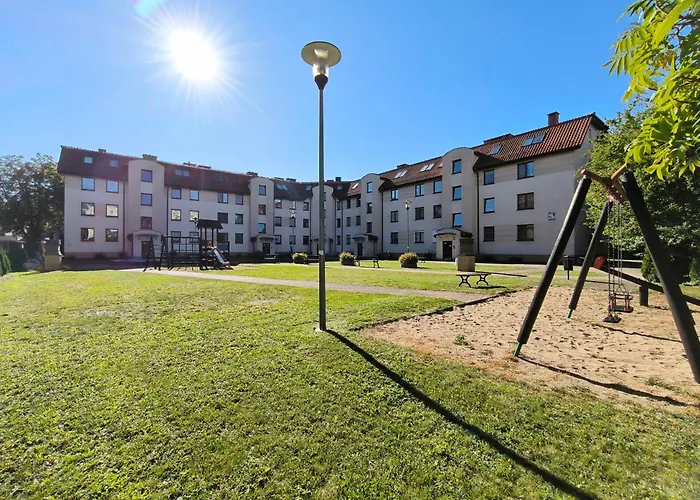 Kolory Warmii Bialy I Szary